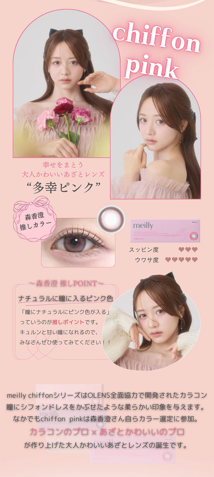 meilly chiffon 1day�i���C���[�V�t�H���j�V�t�H���s���N