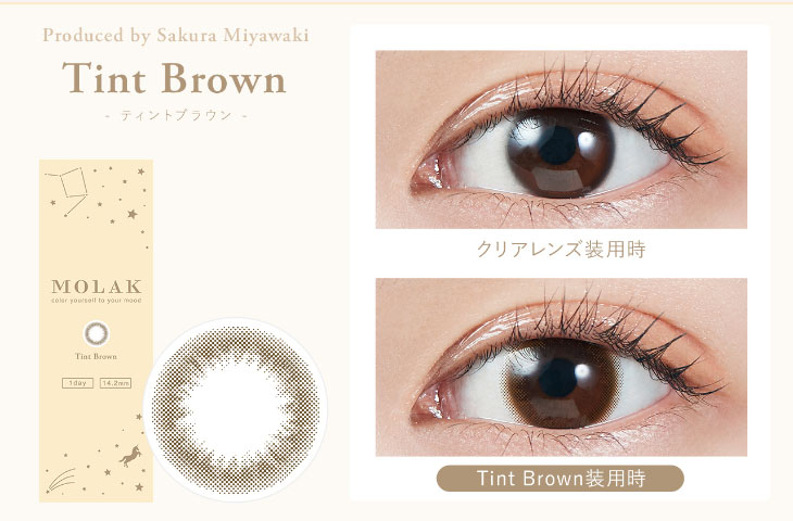 MOLAK 1day(Nf[)eBguE-TINT BROWN-