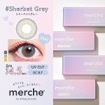 【49％OFF】<br>merche by AngelColor 1day シャーベットグレー（10枚入り）
